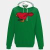 Varsity hoodie Thumbnail