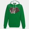 Varsity hoodie Thumbnail
