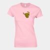 Softstyle™ women's ringspun t-shirt Thumbnail