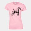 Softstyle™ women's ringspun t-shirt Thumbnail