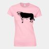 Softstyle™ women's ringspun t-shirt Thumbnail