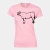 Softstyle™ women's ringspun t-shirt Thumbnail