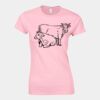 Softstyle™ women's ringspun t-shirt Thumbnail