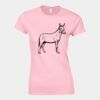 Softstyle™ women's ringspun t-shirt Thumbnail