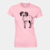 Softstyle™ women's ringspun t-shirt Thumbnail