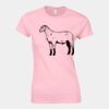 Softstyle™ women's ringspun t-shirt Thumbnail