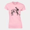 Softstyle™ women's ringspun t-shirt Thumbnail
